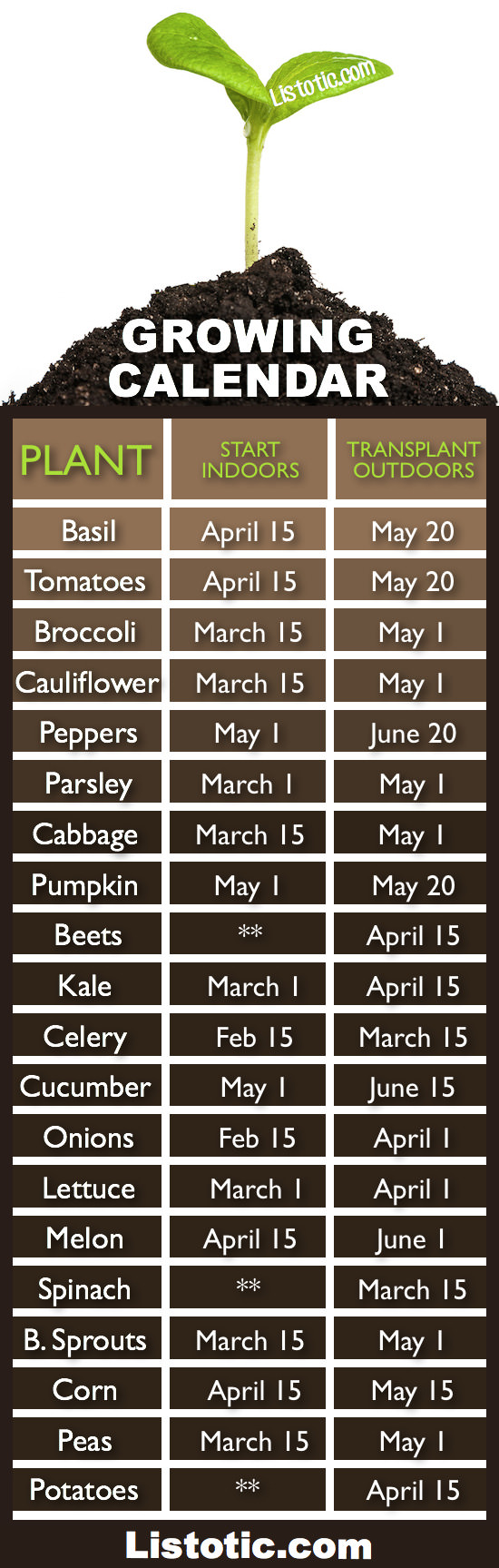 When to plant your vegetable